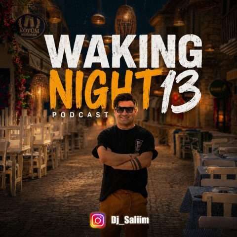 آهنگ دیجی سلیم Waking Night 13 دانلود آهنگ دیجی سلیم Waking Night 13