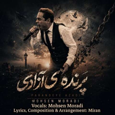 آهنگ محسن مرادی پرنده ی آزادی دانلود آهنگ محسن مرادی پرنده ی آزادی