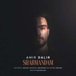 دانلود آهنگ امیر دلیر شرمندم