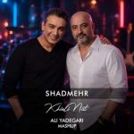 دانلود آهنگ دی جی علی یادگاری ریمیکس شادمهر عقیلی خیالی نیست